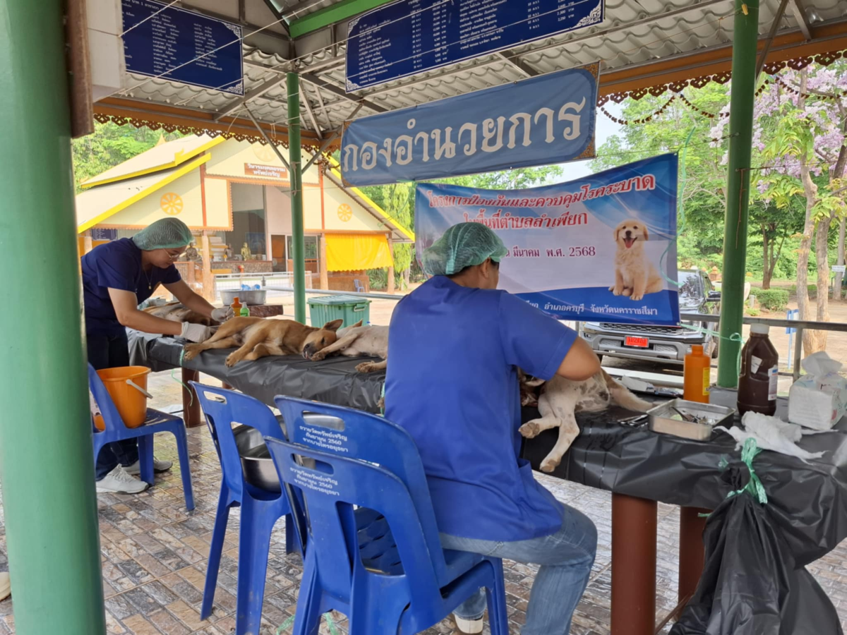 โครงการป้องกันเเละควบคุมโรคระบาดในพื้นที่ตำบลลำเพียก (ทำหมันสัตว์)