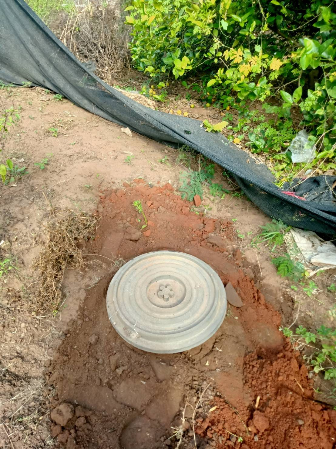 มีการประชาสัมพันธ์เเละยกย่องผู้จัดทำถังขยะเปียกลดโลกร้อน