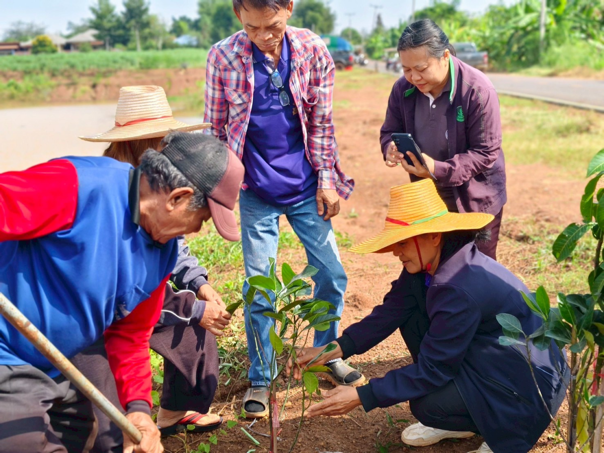 โครงการส่งเสริมการปลูกพืชเศรษฐกิจแบบผสมผสาน